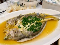 -品海楼·大连海胆锅贴馆(东港店)