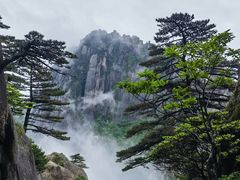 -黄山风景区