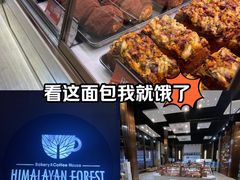 -喜马拉雅森HIMALAYAN FOREST