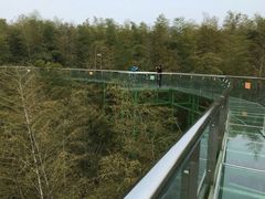 -陶祖圣境风景区