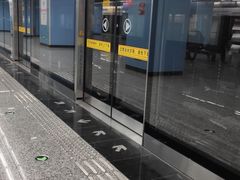 -大龙山(地铁站)