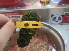 -围辣串串小火锅(李家村万达广场店)