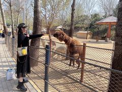 -大连森林动物园