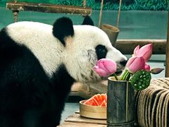 -柳州市动物园