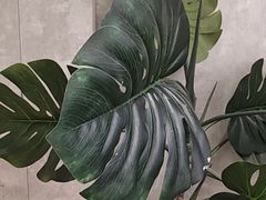 -必胜客(丰南店)