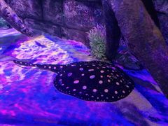 -沈阳海洋探索中心