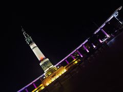 -人民防洪胜利纪念塔