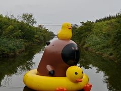 -黄海国家森林公园