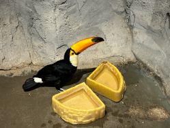 -Zoolung Zoolung动物主题公园(海信广场店)