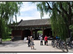 -北京大学赛克勒考古与艺术博物馆