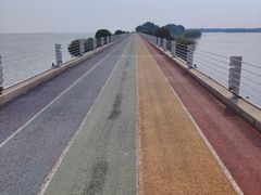 -贡湖湾湿地公园