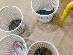 -小海豚•老字号海鲜餐厅(天涯店)