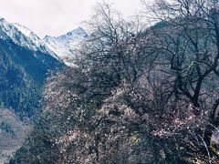 -佛掌沙丘