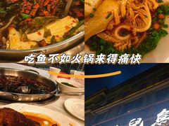 -川道拐耗儿鱼(旗舰店)
