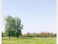 -汉长安城未央宫国家考古遗址公园