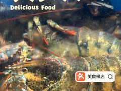 -蚝专家(北滘店)