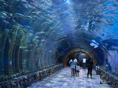 -华夏文旅海洋公园