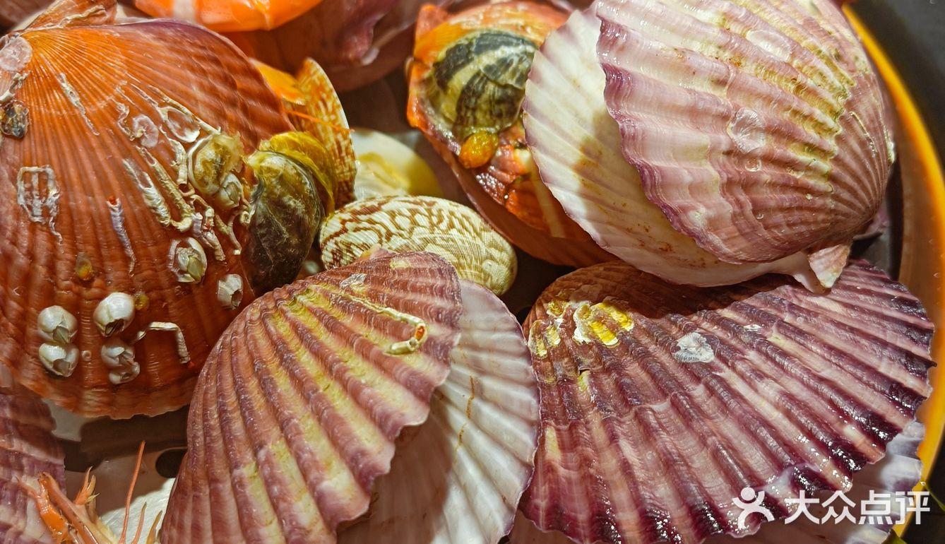 爱吃海鲜的都来了吗