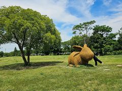 -嘉北郊野公园