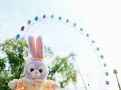 -上海野生动物园