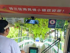 -荷兰花海