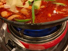 湘味肥肠火锅-湘肠香火锅店(团结湖店)