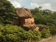 -九龙江国家森林公园