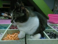 -瓦匠工社·马赛克·积木拼图·亲子手工DIY