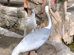 -哈尔滨北方森林动物园