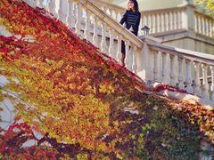 -北京张裕爱斐堡酒庄