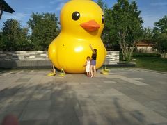 -思念果岭悦温泉