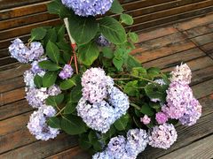 -呼吸森林·生态农庄农家乐私房菜