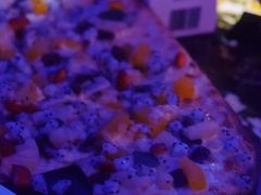 水果风味火焰烤饼-MOSSO德国餐厅·音乐酒吧(环宇荟店)