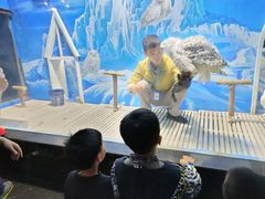 -成都浩海立方海洋公园