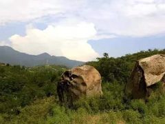-白水寺森林公园
