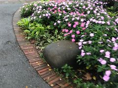 -中山公园