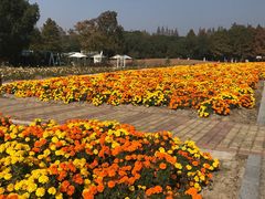 -同里国家湿地公园