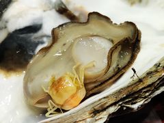 -蚝魁竹笼蒸生蚝 余杭店