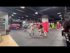 -TFC 纯泰拳馆MuayThai