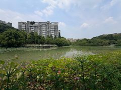 -成都工业学院(郫都校区)