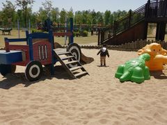 -上海长兴岛郊野公园