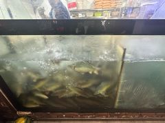 -肥鱼屯活鱼锅(惠工街店)