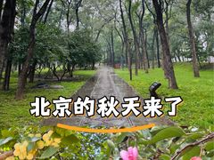 -元大都城垣遗址公园
