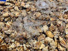 -三亚火车头万人海鲜广场