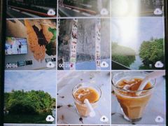 -上海吴淞炮台湾国家湿地公园