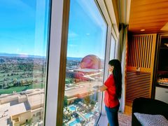 -拉斯维加斯永利酒店