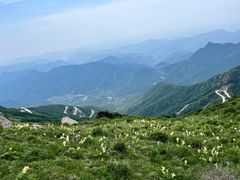 -白草畔自然风景区