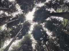 -太阳湾风景区