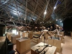 -世界恐龙谷景区