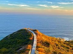 -梧桐山风景名胜区